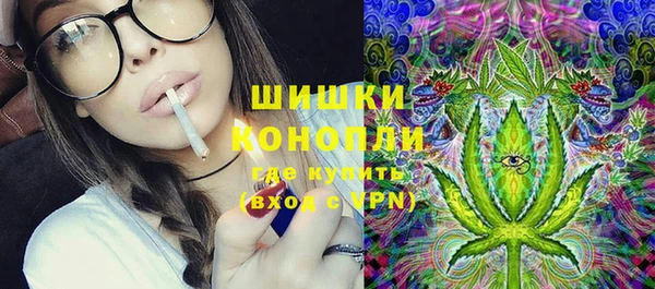 шишки Нязепетровск