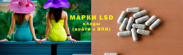 шишки Нязепетровск