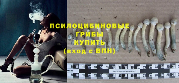 гидропоника Нягань