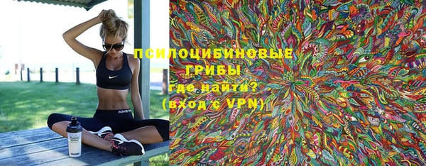 шишки Нязепетровск