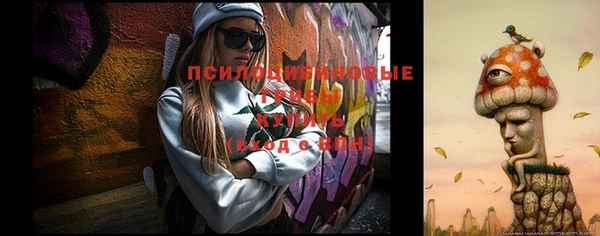 шишки Нязепетровск