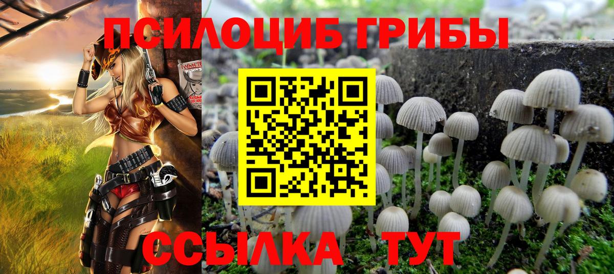 Псилоцибиновые грибы Psilocybine cubensis Кумертау