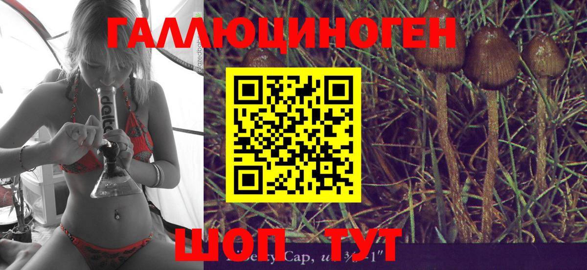 Псилоцибиновые грибы MAGIC MUSHROOMS  Кумертау 