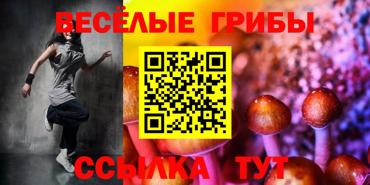 Псилоцибиновые грибы MAGIC MUSHROOMS Кумертау