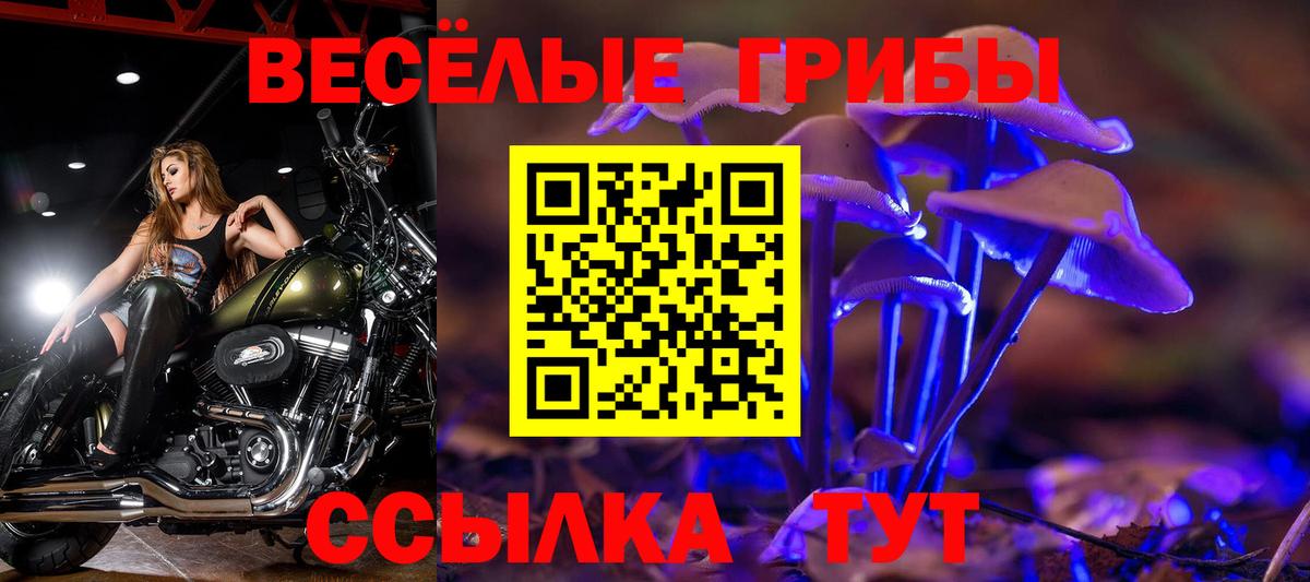 Псилоцибиновые грибы Psilocybe  Псилоцибиновые грибы Cubensis  Вход с VPN  Кумертау 