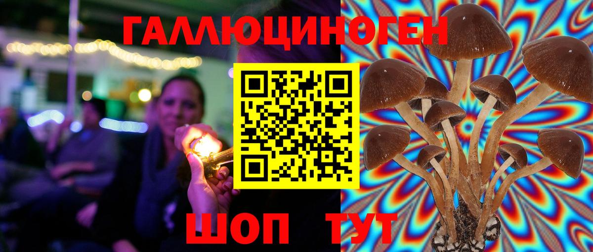 Галлюциногенные грибы Cubensis  Вход с VPN  продажа наркотиков  Кумертау 